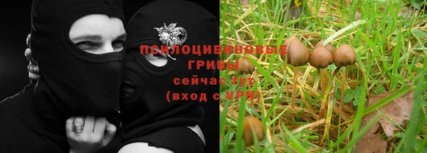 бошки Армянск