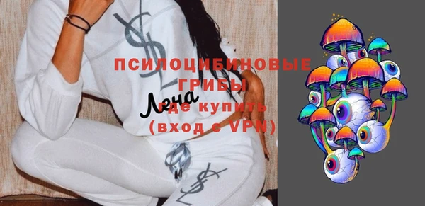 дмт Арсеньев